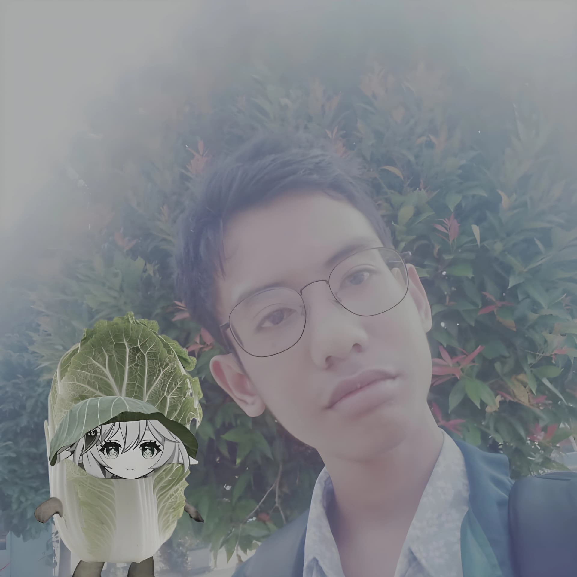 pfp